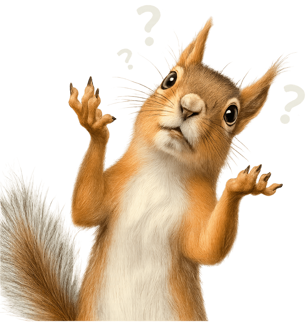 niewierioka single niewierioka single